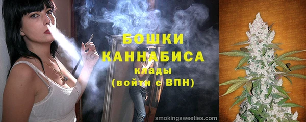 гашик Пересвет