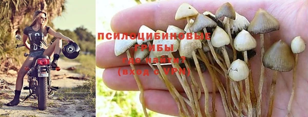 2c-b Алексин